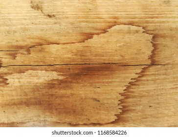 Distressed American White Oak Background