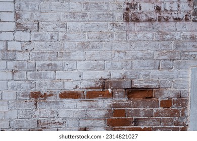 A distressed,  grungy,  partly whitewashed brick wall full of texture for background.