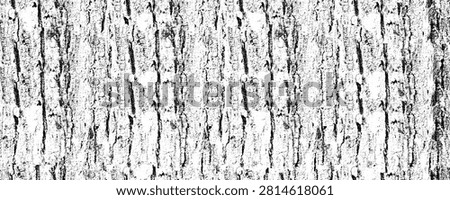 Distressed Tree Bark Grunge Texture Overlay on White Background