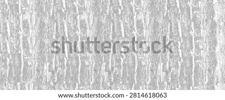 Distressed Tree Bark Grunge Texture Overlay on White Background