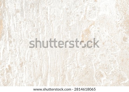 Distressed Tree Bark Grunge Texture Overlay on White Background