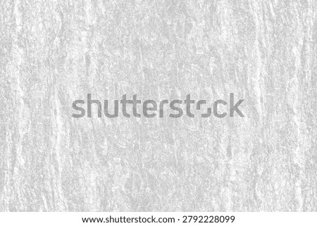 Distressed Tree Bark Texture Overlay Grunge Background