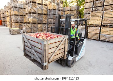 Distribution, Sales, Production, Farm Agribusiness In Warehouse. Happy Male Driver In Helmet In Forklift Truck Lifts Up Red Ripe Apples In Container On Shelves, On Wooden Crates Background, Free Space