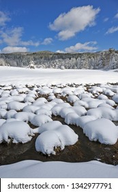 District Of Cosenza, Calabria, Italy, Europe, Winter Landscape In The Sila National Park,