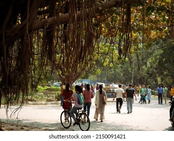 DISTRICT VARANASI, UTTAR PRADESH, INDIA - MARCH 25, 2022: Indian banaras hindu university students walking at college premises natural environment.