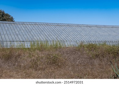 disused, abandoned, old glass agricultural greenhouse, - Powered by Shutterstock