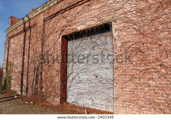 Disused Ivycovered Garage Door Petaluma California Stock Photo