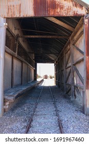 A Dis-used Train Shed Overrun With Pigeons