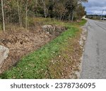 A ditch area that the vegetation has been cut back in along a road.