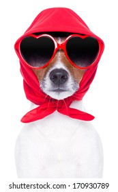 Diva Dog With Red Sunglasses Cool Looking