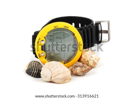 The dive decompression computer for diving with sea shells on a white background.