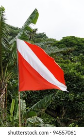 Dive Flag