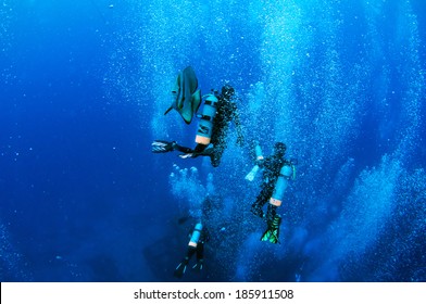 Dive into blue.