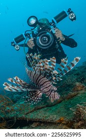 Diver with camera photographing lionfish underwater  - Shutterstock ID 2256525995