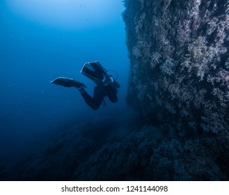 Diver close to coral reef wall, Black sea, Russia