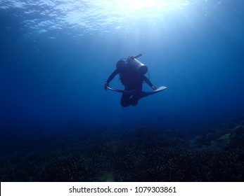Diver do hovering skill of scuba diving that it look like mediation on middle water. It show good buoyancy control over the reef and good sun light with blue background. - Shutterstock ID 1079303861