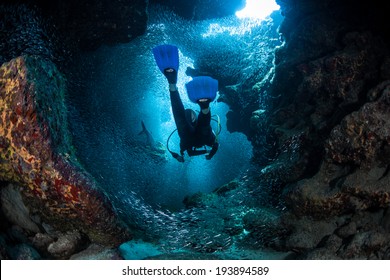 A diver explores the cracks, crevices and holes in a coral reef on the island of Grand Cayman. Many reef species, such as silversides, prefer the shadowed protection of these dark areas. - Shutterstock ID 193894589