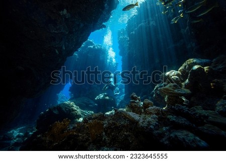 Diver exploring the coral reefs and cave in Egypt. Colored school of fish in coral garden.
