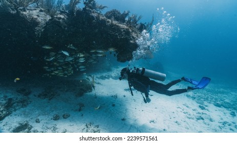 diver looking inside a cavern for big school of yellow fish