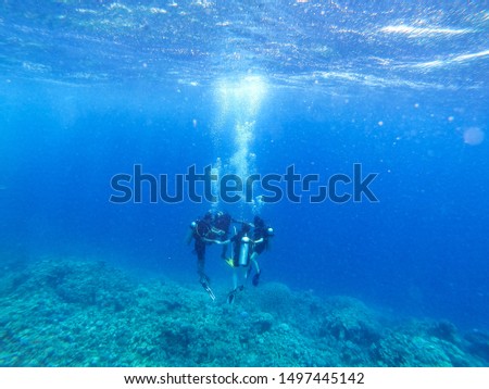 Diver in ocean and free space for your decoration. Underwater sea landscape. 