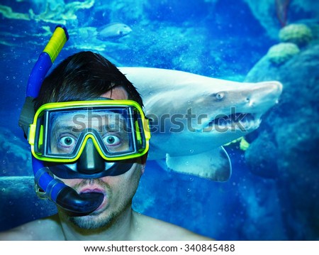 Diver with shark in background