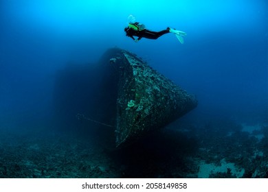 Diver Swimming Above Sunk Ship In Red Sea