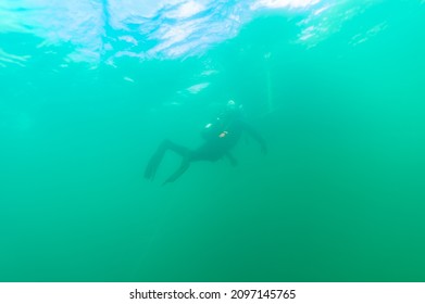 Diver swimming to dive boat ladder in green water
