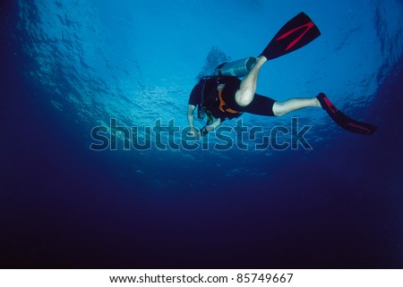 Similar – From below full body of unrecognizable active teen boy wearing yellow flippers snorkeling by coral reef in deep ocean with crystal clear waters at Menorca