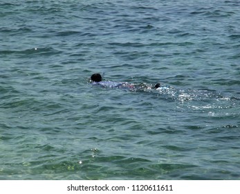 Diver Swimming Unawatuna Beach Sri Lanka Stock Photo 1120611611 ...