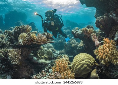 A diver takes pictures of picturesque corals in the Red Sea. - Powered by Shutterstock