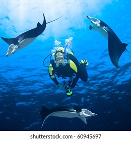 Diver And Three Manta Ray Around Underwater.