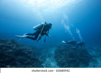 Diver Under The Sea