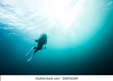 Diver Underwater