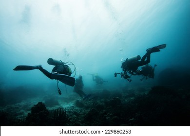 Diver Underwater