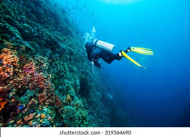 Diver Underwater