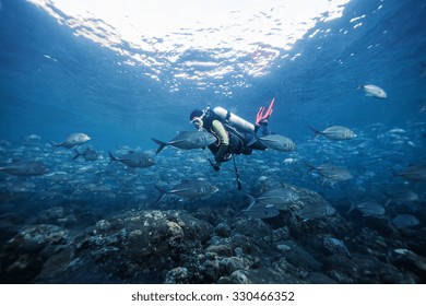 diver underwater