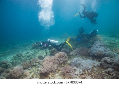 Diver Underwater