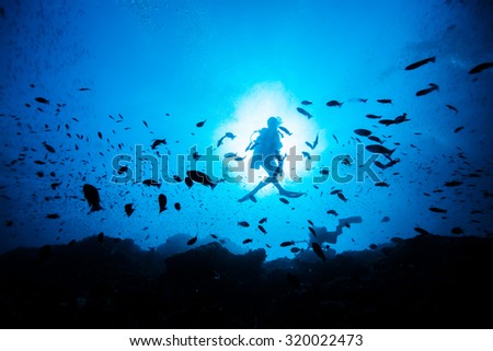 Similar – Man in his back with scuba diving equipment exploring the ocean floor.