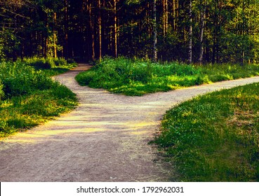 Divergence of directions. The wide path in the park is divided into two trails.