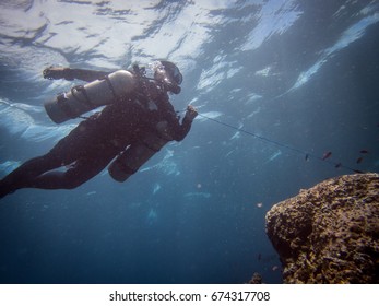 Divers In Anilao Batangas