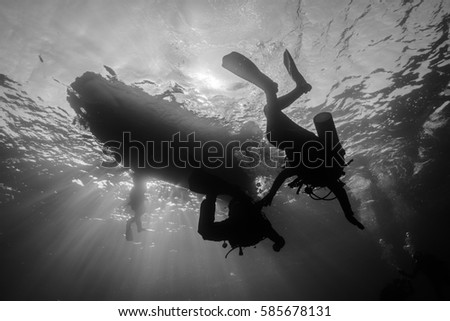 Similar – Man in his back with scuba diving equipment exploring the ocean floor.