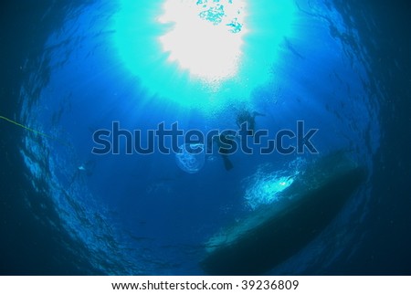 Similar – under the sea