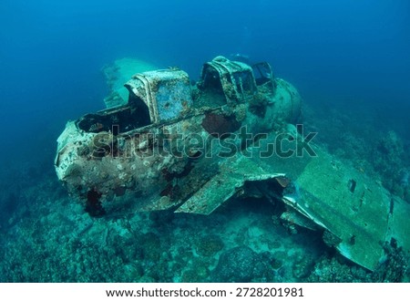 Divers explore the underwater wreck of a jake sea plane in Palau. The plane lies on the ocean floor surrounded by coral and marine life.