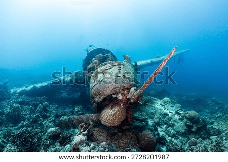 Divers explore the underwater wreck of a jake sea plane resting on the ocean floor in Palau. Coral and marine life surround the plane's structure, creating a unique scene.