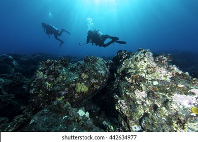 Divers Exploring The Lava Fields Off The Kona Coast