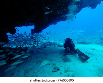 Divers Near A Wall, Fuerteventura , Canary Islands