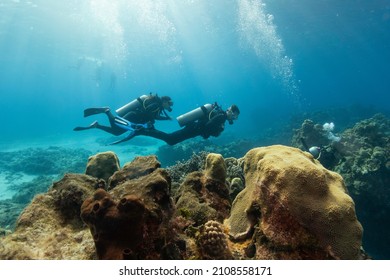 divers scuba diving around the coral reefdivers scuba diving around the coral reef