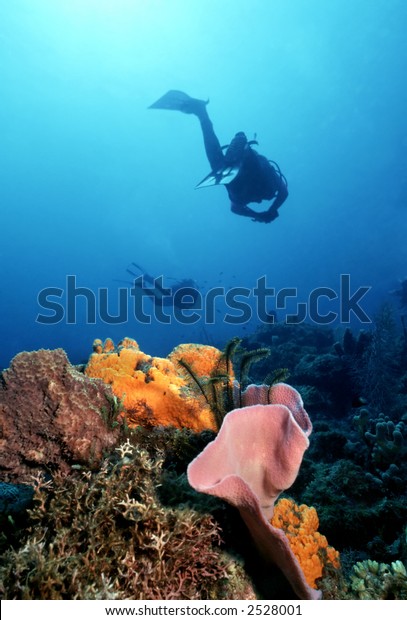 Divers Silhouette Over Pink Vase Sponge Stock Photo Edit Now 2528001