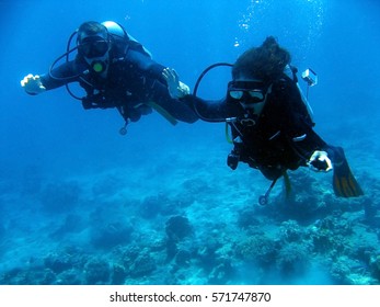 divers underwater