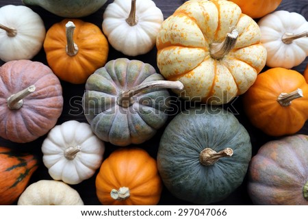 Diverse assortment of pumpkins on a wooden background. Autumn harvest.